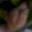 Rostro 9