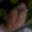 Rostro 7