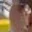 Rostro 7