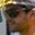 Rostro 6