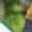 Rostro 8