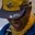 Rostro 5