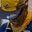 Rostro 5