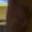 Rostro 12