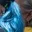 Rostro 8