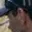 Rostro 7