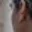 Rostro 7