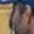 Rostro 7