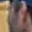 Rostro 8