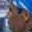 Rostro 9