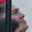 Rostro 4