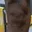 Rostro 4