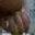 Rostro 6