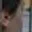 Rostro 11