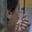 Rostro 7