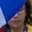 Rostro 5
